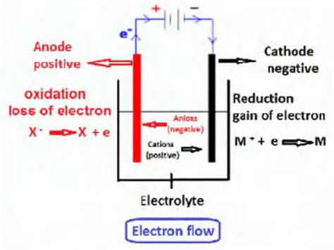 Electron Flow In Electrolysis Download Scientific Diagram