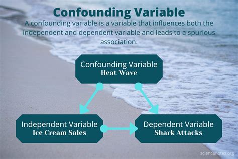 What Is a Confounding Variable? Definition and Examples