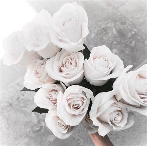 Flowers Roses Aesthetic Perfect Rose Vogue