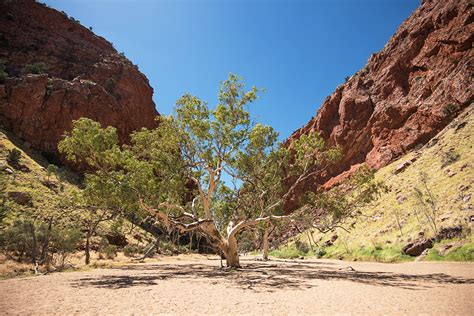 Tour Northern Territory Encompassed Southbound Intrepid Travel Pkosc