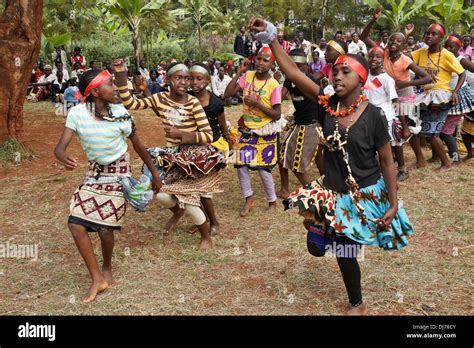 Kikuyu Girls Performing Dance Karatina Kenya Stock Photo Alamy