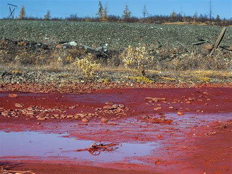 A Siberian River Has Mysteriously Turned Blood Red Ncpr News