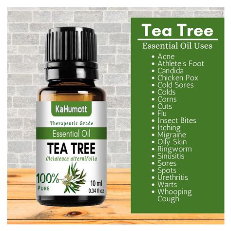 This volatile essential oil is extracted from the australian native plant melaleuca alternifolia, most commonly found in southeast queensland and the northeast coast of new south wales. TEA TREE 100% Pure Essential Oil 10 ml | Shopee Philippines