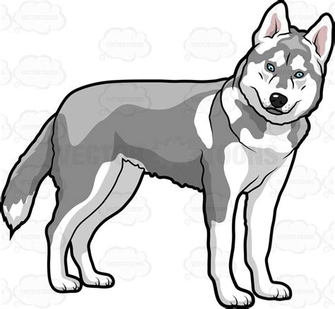 2 Husky Clipart 10 Free Cliparts Download Images On Clipground 2023