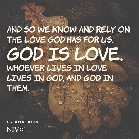 Maybe you would like to learn more about one of these? God is love! #NIV | Bible love, Gods love, Bible inspiration