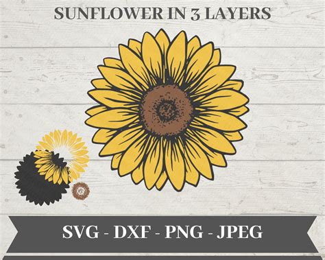 Sunflower Svg Svg File For Cricut Png Clipart Etsy
