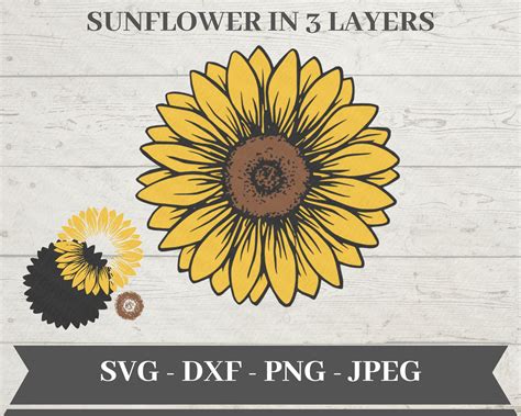 Sunflower Svg Files For Cricut Free SVG Images