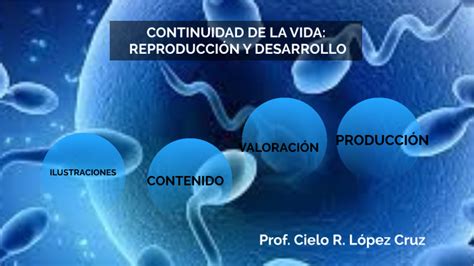 Continuidad De La Vida ReproducciÓn Y Desarrollo By Cielo Rashel Lopez