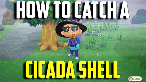 New horizons bugs in january. How to Catch a Cicada Shell | Cicada Shell ACNH | Animal ...