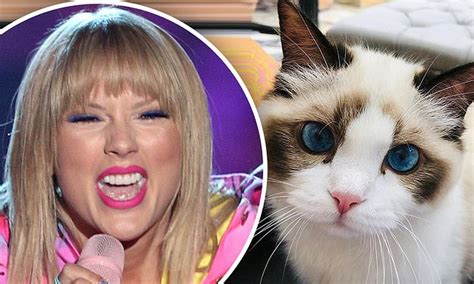 Taylor Swift Calls Herself A Cat Lady As She Shares Adorable Image Of