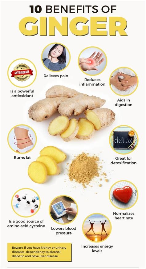 Ginger Benefits Ginger Benefits And Side Effects Ginger Benefits For