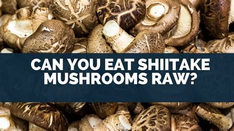 Can You Eat Shiitake Mushrooms Raw [what Happens]