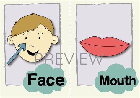 Face And Mouth Flashcard Gru Languages