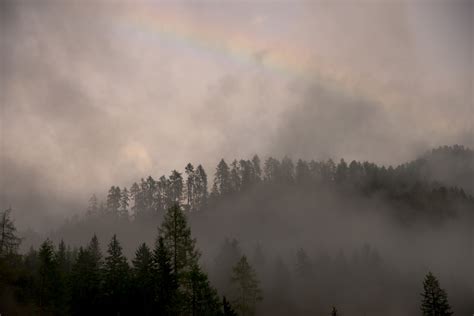 Free Images Landscape Tree Nature Forest Mountain Light Cloud