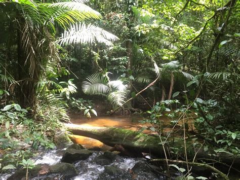 Gran Rio Jungle Expedition - METS N.V.