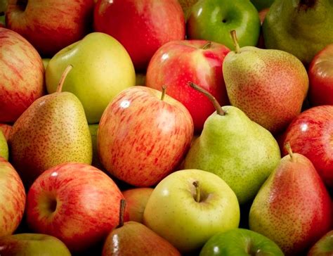 South African Apples Back On Track