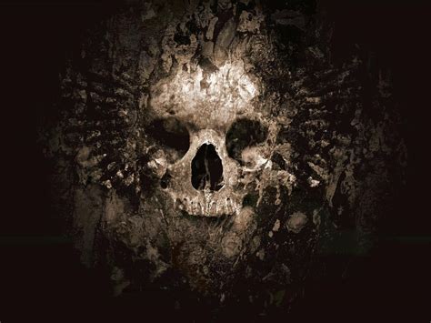 Cool Skull Pictures Skulls Skull Wallpaper ~ Skulls~ Pinterest