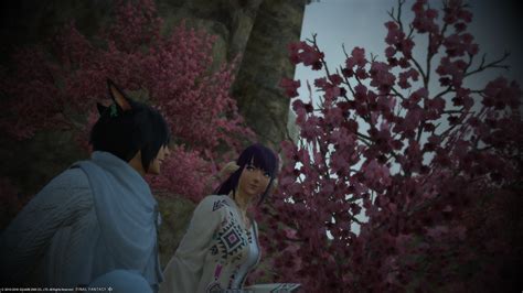 Under sakura trees | Sakura tree, Anime, Sakura