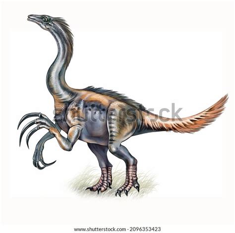 Therizinosaurus Cheloniformis Realistic Drawing Cretaceous Mesozoic