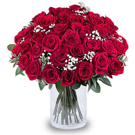 3 Dozen Red Roses Bouquet Terzz