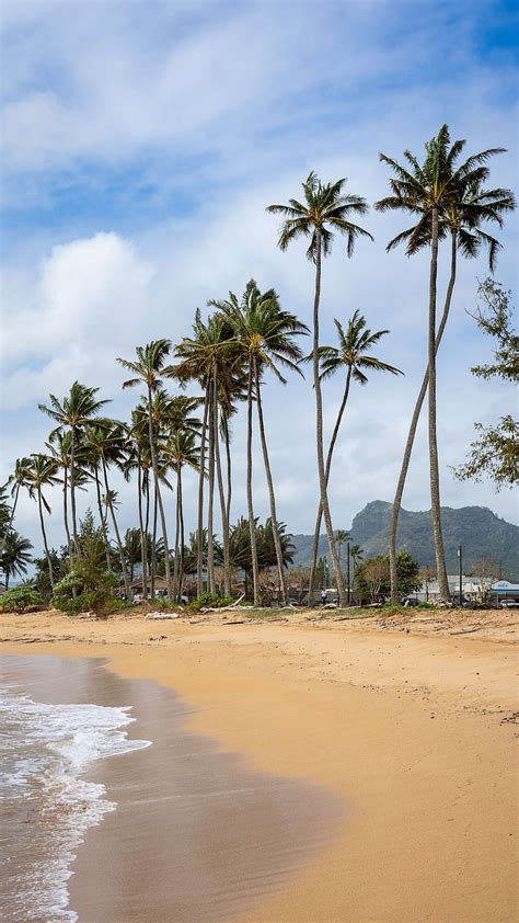 1440x2560 Palm Trees Beach Tide Waves Q Samsung Galaxy S6 S7 Edge