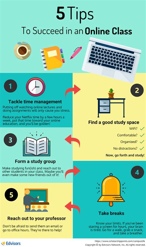 Infographic examples are a great way to communicate information online. 5 Tips to Succeed in an Online Class #infographic #college ...