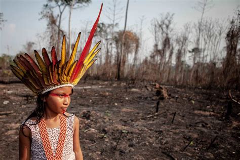 invasões em terras indígenas mais que dobraram em 2019 o eco