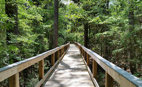 Check spelling or type a new query. A Quest at Falling Waters State Park | Florida Smart