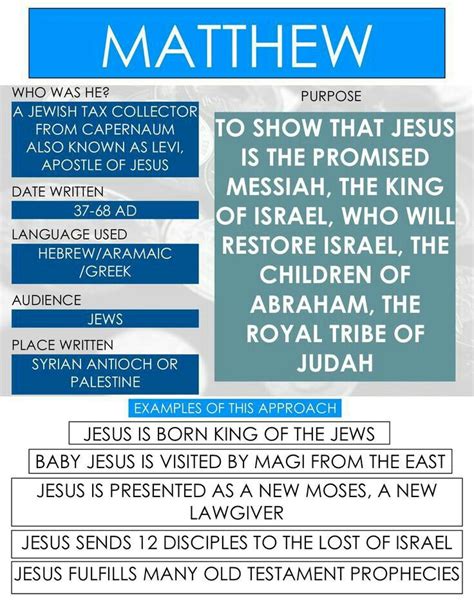 Matthew Brief Infographic Bible Study Scripture Bible Study Lessons