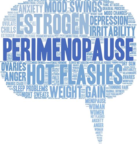 Perimenopause What Every Woman Needs To Know Amelia Phillips