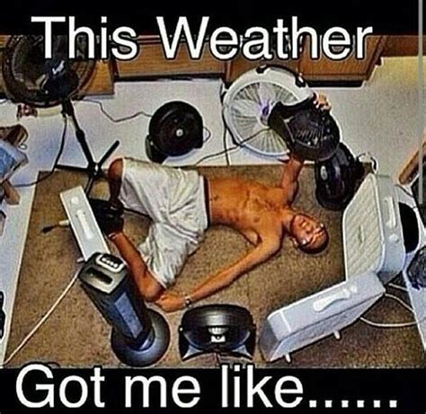 The Hot Weather Got Me Like 13 Pics Funny Weather Hot Weather Humor Funny Pictures