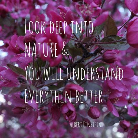 Nature Lover Photo Quotes Nature Lover Poster