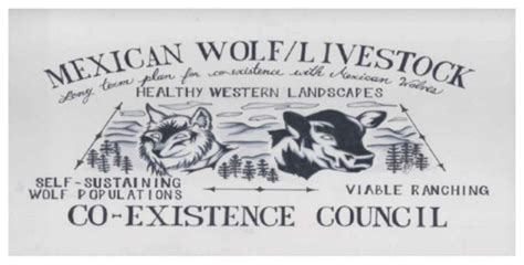 In The News Applications Open For Livestock Producers On Mexican Wolf