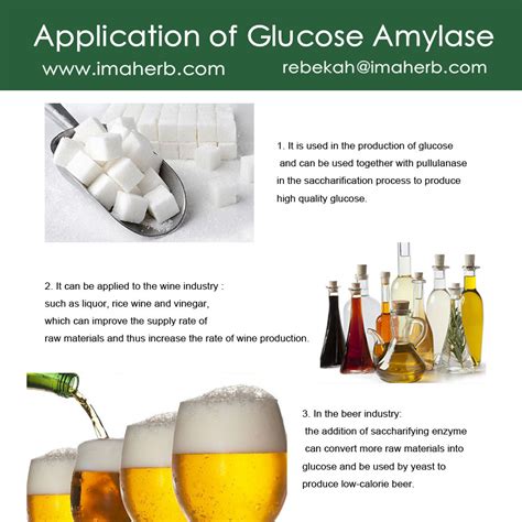 Bio Enzyme Glucose Amylase For Health Product