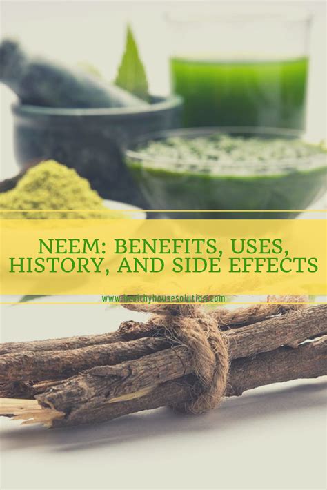 Neem Benefits Uses History And Side Effects Alternative Health