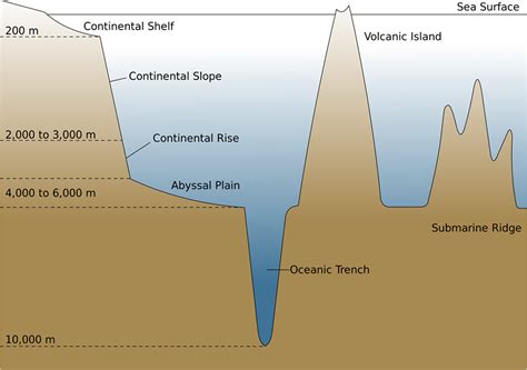 The Sea Floor Learning Geology