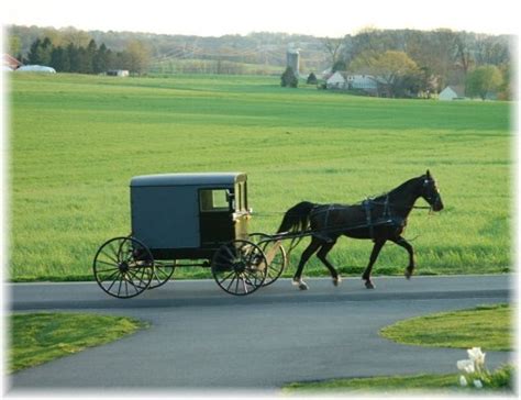 Free Amish Wallpaper Wallpapersafari