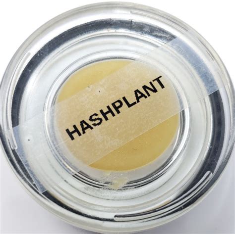 Hashplant 90u Wpff Live Rosin First Pull 35g Baller Jar By