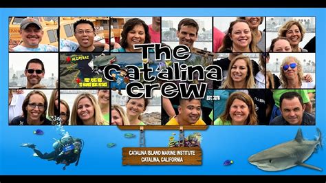 The Official Catalina Video Youtube