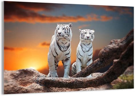 Wohnzimmer glasbilder online kaufen bei otto große auswahl top service top marken ratenkauf kauf auf rechnung möglich jetzt bestellen. ARTTOR Glasbilder Wohnzimmer Modern und Wandbilder ...
