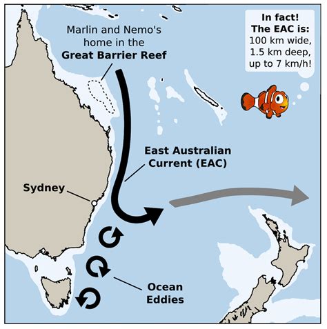 Can You Surf The East Australian Current Finding Nemo Style