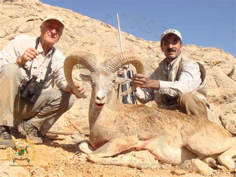 Iran Hunting Consortium Iran Has Fascinated Hunters For Generations