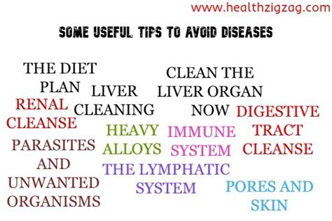 Some Useful Tips To Avoid Diseases Healthzigzag