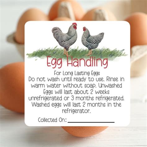 Farm Fresh Eggs Handling Stamp Etsy