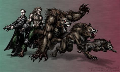 The Many Forms Werewolf The Apocalypse Rage Across St Louis