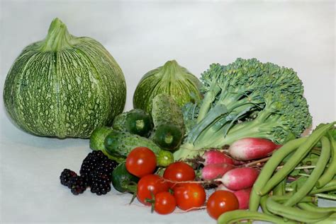 10 Légumes à Cultiver Pour Le Potager Du Débutant Potager Facile