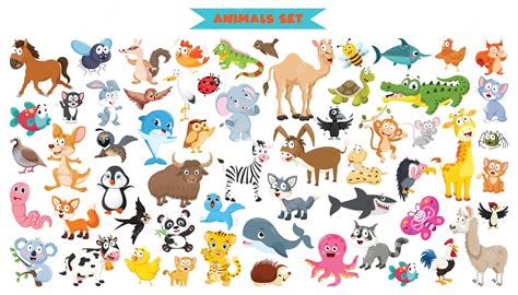 Cartoon Funny Animal Clip Art Png 798x800px Cartoon Animal Clip