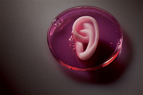 • study of specific characteristics and mechanisms of human body that make it a living being. Biological 3D printer achieves breakthrough in printing ...