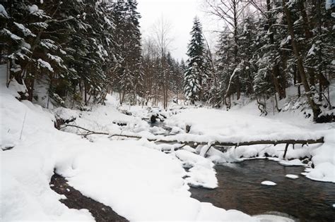 Premium Photo Rivers In Winter With Snow And Ice