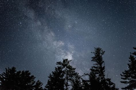 Night Sky Starry Night Forest Wallpaper And Background